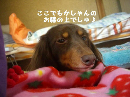 5a779c4b.JPG