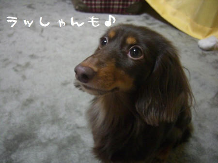 e1e60060.JPG