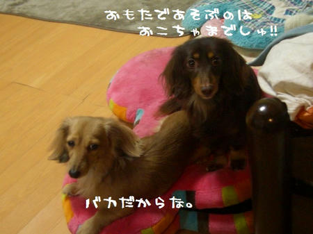 CIMG8575.JPG