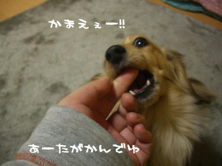 CIMG8738.JPG