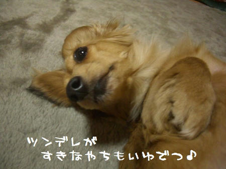 CIMG8743.JPG