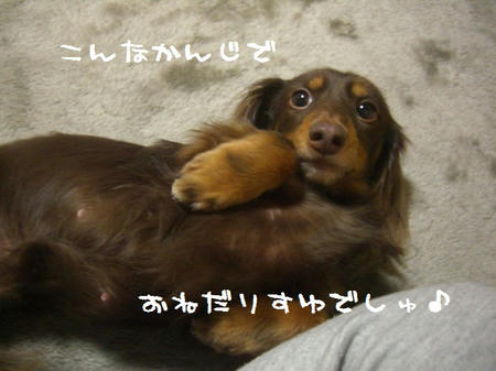 CIMG8744.JPG