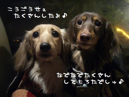 289ea5f8.JPG