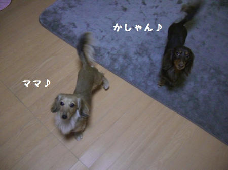 3a4f2482.JPG