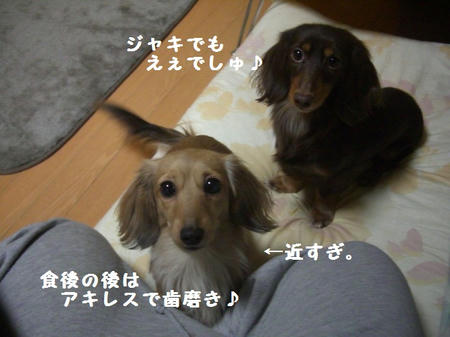 CIMG9368.JPG