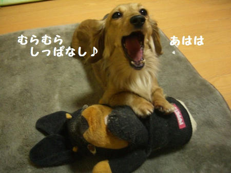0b020f03.JPG