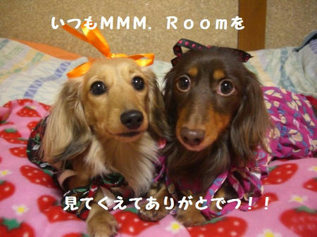 CIMG9557.JPG