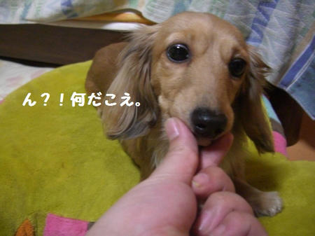 70d8b0b1.JPG