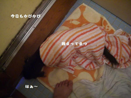 CIMG9813.JPG