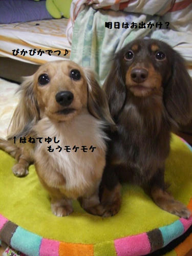CIMG9822.JPG
