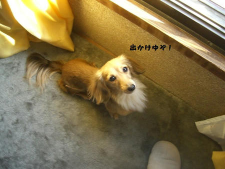 CIMG9948.JPG