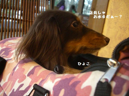 CIMG9960.JPG