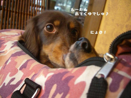CIMG9961.JPG