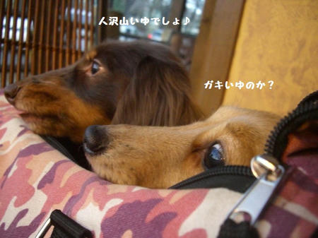 7498376f.JPG