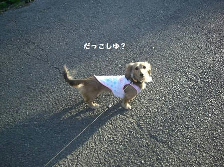 CIMG0050.JPG