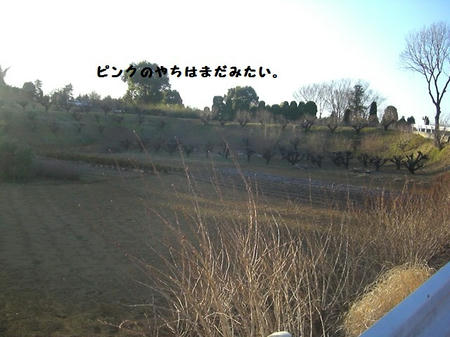CIMG0053.JPG