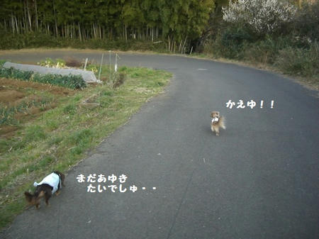CIMG0059.JPG