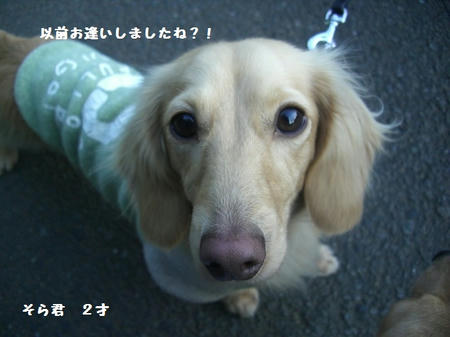 CIMG0061.JPG