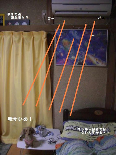 CIMG0118.JPG