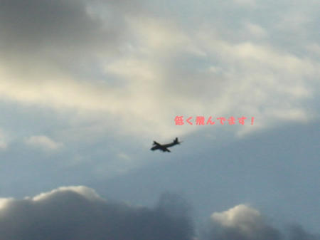 a9e35d08.JPG