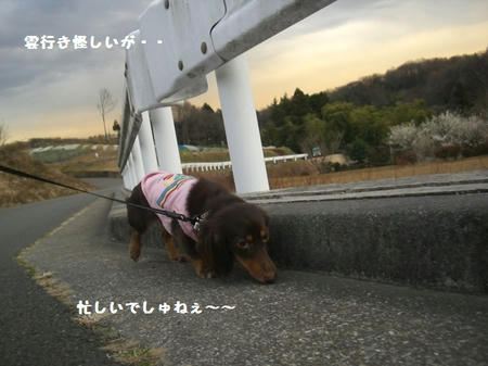 CIMG0165.JPG