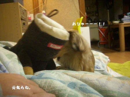 2ecf7c8a.JPG