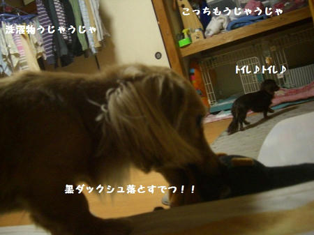 cb019811.JPG
