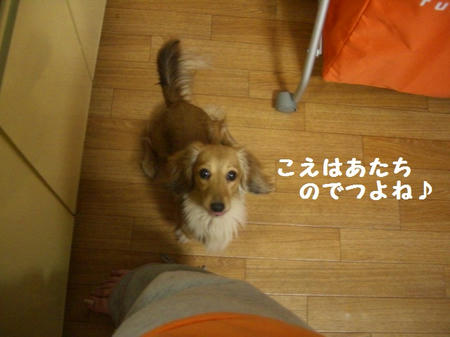 CIMG0324.JPG
