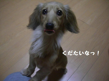 CIMG0326.JPG