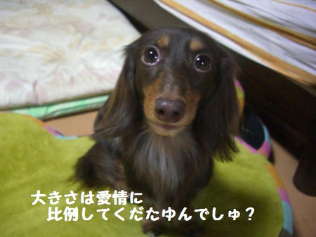 CIMG0327.JPG
