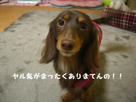 5557c6e5.JPG