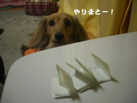 7f4ce981.JPG