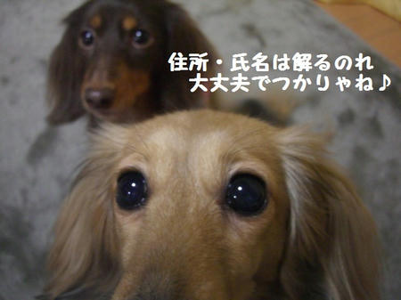 CIMG0397.JPG