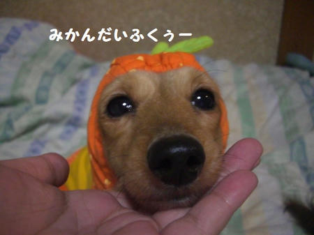 CIMG0456.JPG