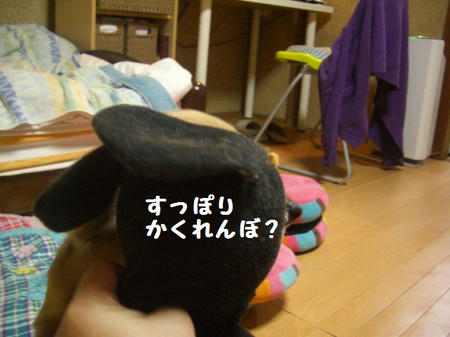 CIMG8539.JPG