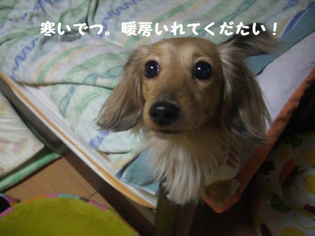 CIMG0499.JPG
