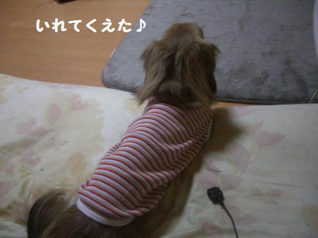 CIMG0500.JPG