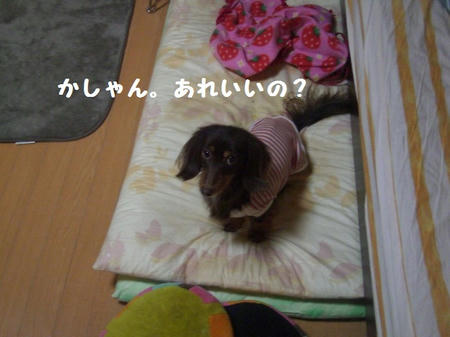 CIMG0501.JPG