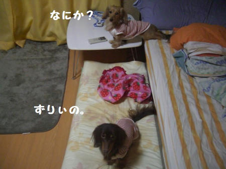 CIMG0502.JPG