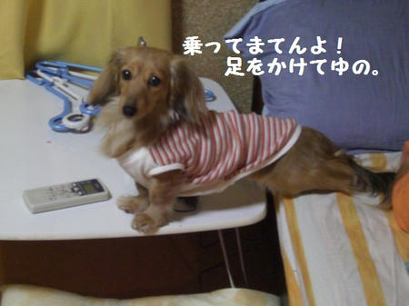 CIMG0503.JPG
