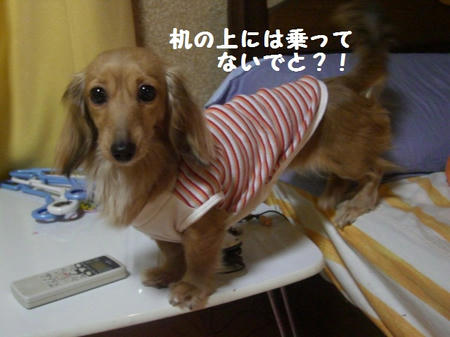CIMG0504.JPG