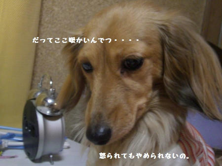 f3b6790c.JPG