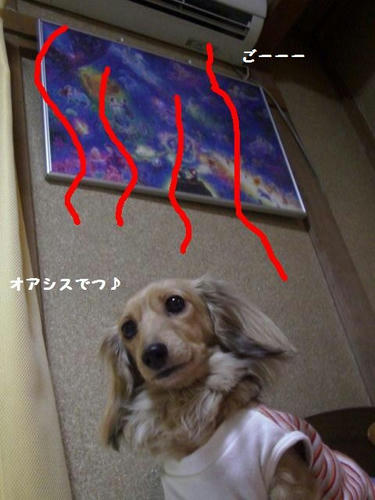 31603235.JPG