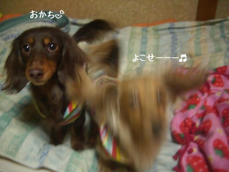 CIMG0654.JPG
