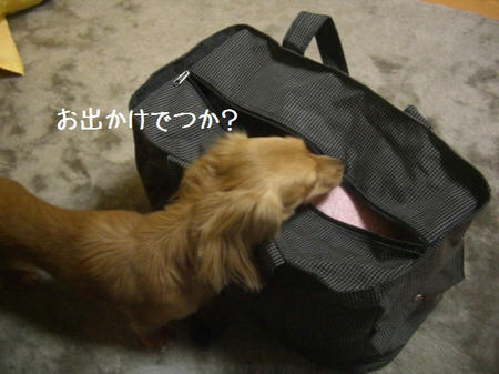 CIMG0724.JPG
