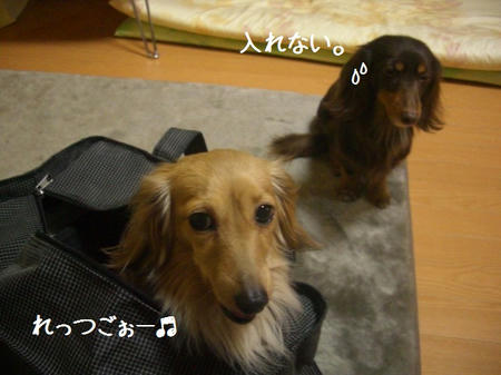 01a53863.JPG