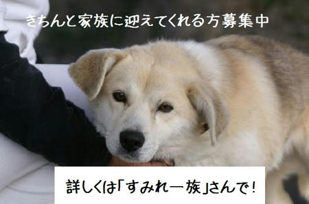 fb0f905f.jpg