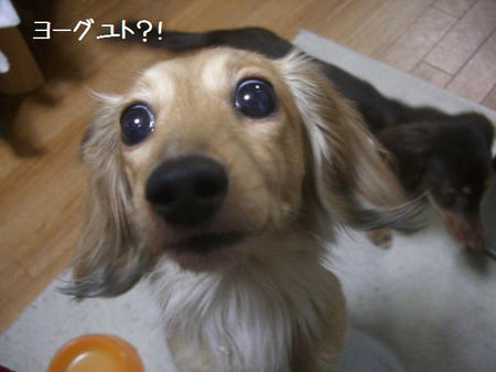 CIMG0778.JPG