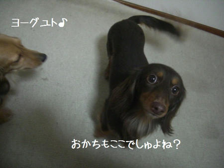 CIMG0779.JPG