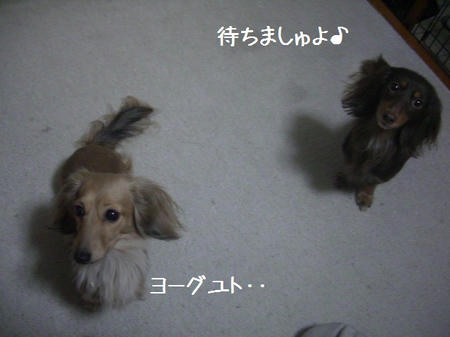 CIMG0780.JPG